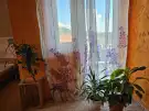 Pest megye - Budakeszi